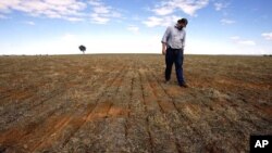 Farmer Ed Fagan inspects the rows of seeds on his property near the western New South Wales town of Cowra (file photo)