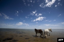 Qozog'iston Orol dengizini qayta tiklashga urinmoqda va ancha muvaffaqiyatga erishdi ham