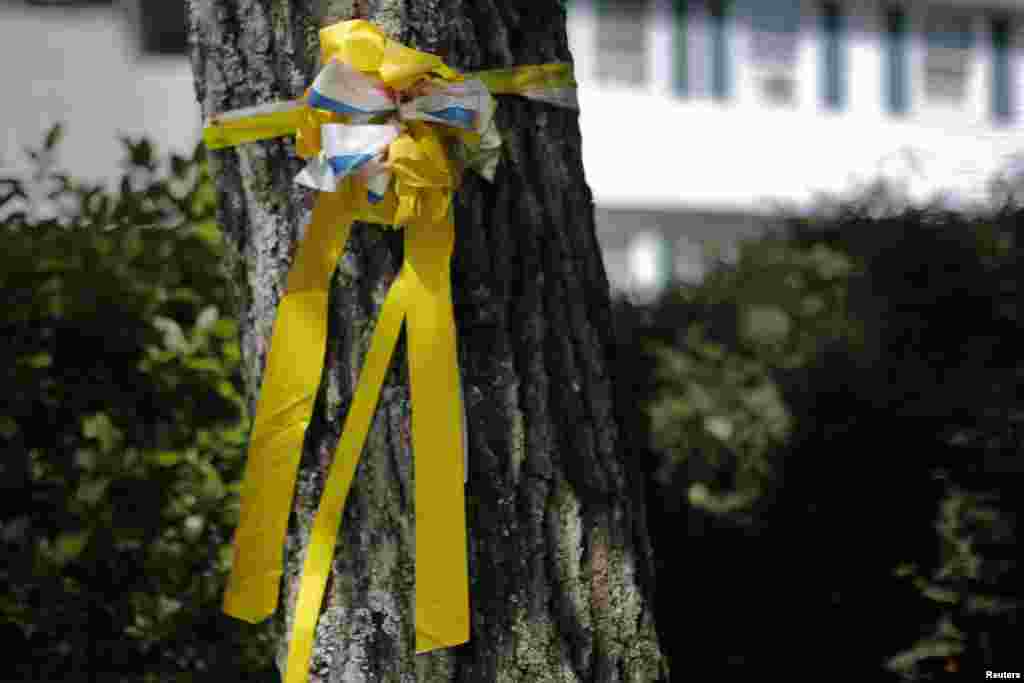 A yellow ribbon hangs on a tree outside the family home of James Foley in Rochester, New Hampshire Aug. 20, 2014.