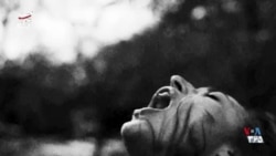 اکران - یک زندگی در زمان حال و سفری با باد