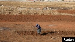Seorang perempuan berladang di tengah pembatasan wilayah untuk meredam pandemi virus corona (Covid-19), di Soweto, Afrika Selatan, 31 Juli 2020. (Foto: Reuters)
