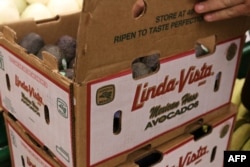 Avocados from Mexico are seen for sale in a store in Washington, June 6, 2019. Mexican-grown foods would have been hit hard by President Donald Trump's threatened tariffs, but Trump dropped his plan after the two nations struck a deal on stemming the flow of migrants from Central America.