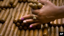 A sorter selects cigars at the H. Upmann cigar factory in Havana, Cuba, March 2, 2017. 
