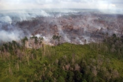 Tampak udara kebakaran hutan yang terjadi di dekat desa Bokor, Kabupaten Kepulauan Meranti, Provinsi Riau, 15 Maret 2016. (Foto: Rony Muharrman/Antara Foto via REUTERS)