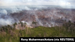 Kebakaran hutan yang terjadi di dekat Desa Bokor, Kabupaten Kepulauan Meranti, Provinsi Riau, 15 Maret 2016. (Foto: Rony Muharrman/Antara Foto via REUTERS)