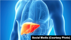 အသည်းရောင်အသားဝါ 