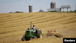 FILE - A farmer harvests his field at his farm in Pecatonica, Ill., July 25, 2018. 