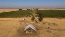 La inteligencia artificial a nivel global y las desigualdades son temas de debates en la tercera jornada del Foro Económico Mundial.