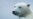 Genetic Survey Shows Polar Bears Evolved Far Earlier Than Previously Recognized