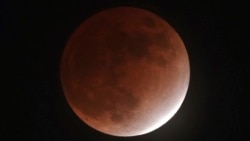 Quiz - Japanese Researchers Plan to Recreate Earth’s Gravity on Moon