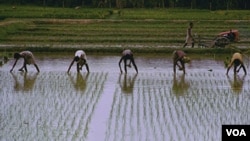 Book by Sir Gordon Conway examines world hunger and its remedies.