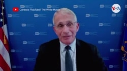 Fauci: vacunación completa y refuerzo es protección óptima contra ómicron