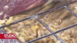 Kakve su posljedice mogućih Trumpovih tarifa Kanadi, Meksiku i Kini