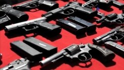 Maduro aprueba Plan de Desarme