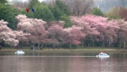 Pertemuan Musim Semi Soroti Pelambatan Ekonomi Global