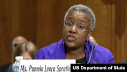 Pamela Spratlen AQSh Senatining Tashqi aloqalar bo'yicha qo'mitasida so'zlab, qonunchilarning savollariga javob berdi, 10-sentabr, 2014, Vashington