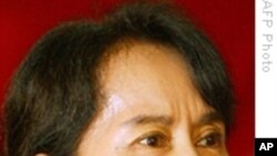 Aung San Suu Kyi Meets With Burmese Government Minister