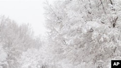 Margaret Ness takes a morning walk through snow in Raleigh, N.C., Sunday, Dec. 26, 2010.