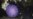 Strange Purple Orb Spotted in Deep Waters Off California
