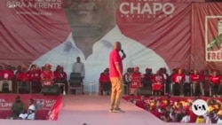 Frelimo party candidate wins presidential elections in Mozambique as expected 