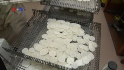 Upaya Menyediakan Hosti Untuk 1,5 Juta Umat Misa Paus Fransikus