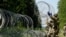 FILE - Lithuanian army soldiers install razor wire on the border with Belarus in Druskininkai, Lithuania, July 9, 2021. 