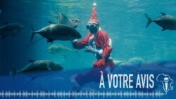 À Votre Avis : Comment avez-vous célébré Noël ?