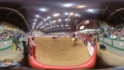 Texas Rodeo Bronco Riding