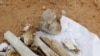 Mass Grave Found in Libya With 1,270 Bodies