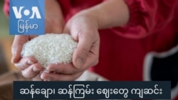 ဆန်ချော၊ ဆန်ကြမ်း ဈေးတွေ ကျဆင်း “လယ်ယာစီးပွားသတင်းများ”