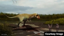 Artist rendering of the Siats meekerorum in its habitat. (North Carolina State University)