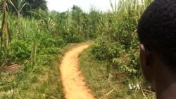 At Porous Liberian Border, Vigilant People Prevent Spread of Ebola