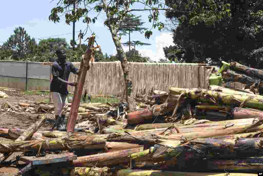 Employee Derick Nsembe peels a banana stem where banana fiber threads are extracted from at Tupande Holdings Ltd. workshop, in Kiwenda village, Busukuma, Wakiso District. Uganda, Sept. 20, 2023.