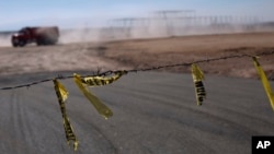 영화배우 르네 젤위거가 영국 런던에서 열린 '주디'시사회에 도착해 우산을 들고 레드카펫에서 포즈를 취하고 있다.