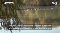 “İklim değişikliği Dicle Nehri’ni tehdit ediyor”