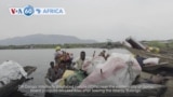 VOA60 Africa - DR Congo: Internally displaced people leaving Bulengo camp near Goma