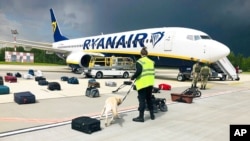 FILE - Security use a sniffer dog to check the luggage of passengers on the Ryanair plane, carrying opposition figure Raman Pratasevich, in Minsk International airport, May 23, 2021, in this photo provided by ONLINER.BY.