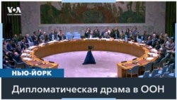 Страны Евросоюза не поддержали резолюцию США в СБ ООН 