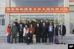 Those involved in combating rhino poaching are implementing various strategies to stop the crime, such as the use of specially trained sniffer dogs to detect smuggled rhino horns.