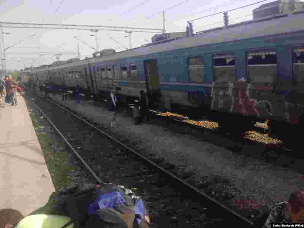 Migrants - Macedonia Tabanovce, Macedonian Serbian border September 17, 2015