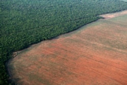FILE - The Amazon rainforest (L), bordered by deforested land prepared for the planting of soybeans, is pictured in this aerial photo taken over Mato Grosso state in western Brazil, Oct. 4, 2015.