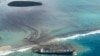 Greenpeace: Perlu Ganti Rugi atas Tumpahan Minyak Kapal Jepang di Mauritius