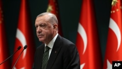 Turkey's President Recep Tayyip Erdogan speaks following a cabinet meeting in Ankara, Nov. 17, 2020.