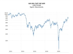 (Hình: Tác giả cung cấp)
