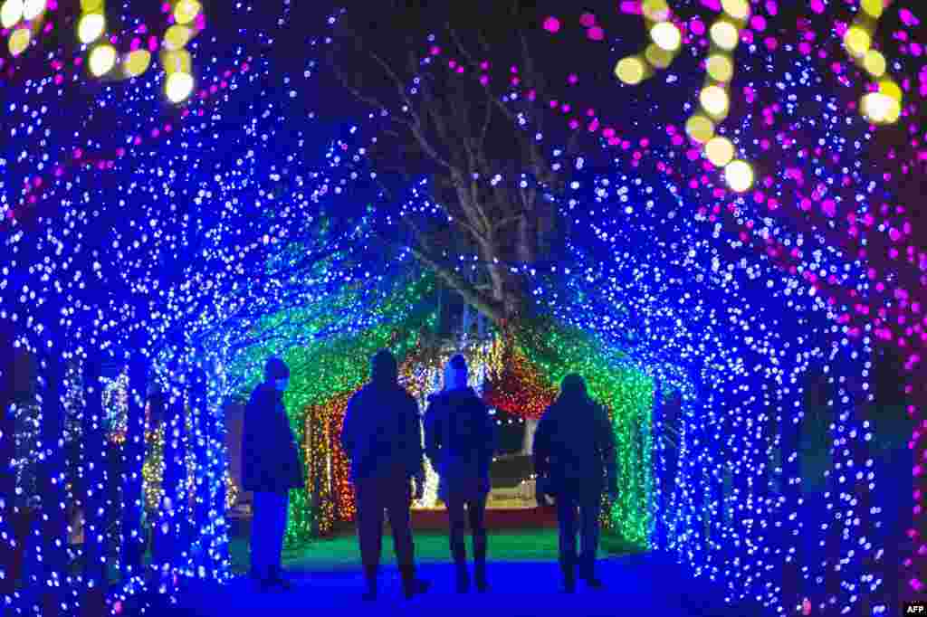Más de 200.000 luces decoran un paraíso invernal en Naumkeag, parte del terreno administrado por los Fideicomisarios de Reservas, en Stockbridge, Massachusetts. La ciudad fue votada como la ciudad navideña número uno en EE.UU., 13 de diciembre 2020. [AFP]