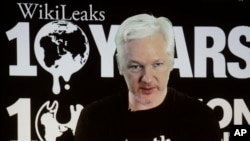 FILE - WikiLeaks founder Julian Assange participates via video link at a news conference in Berlin, Germany, Oct. 4, 2016. Earlier this week, WikiLeaks published thousands of pages of what it says are classified CIA documents that expose “the entire hacking capacity of the CIA.”