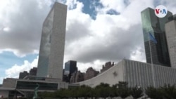 Informes de derechos humanos no muestran avances en Venezuela