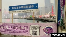 有中國大陸留學生認為”提子碼頭”的設計很”土氣”，與香港作為國際城市的氛圍格格不入，也缺乏吸引力。（美國之音）