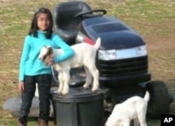 The Hossains say their children have become less materialistic since moving to the farm.