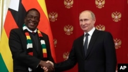 UMongameli Emmerson Mnangagwa loMongameli Vladmir Putin